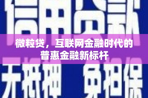 临夏微粒贷，互联网金融时代的普惠金融新标杆