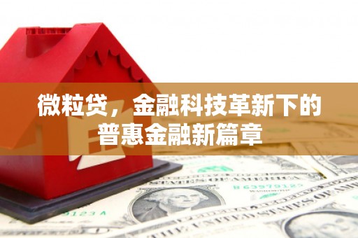 临夏微粒贷，金融科技革新下的普惠金融新篇章