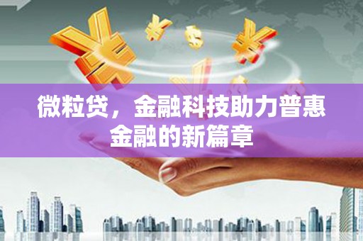 临夏微粒贷，金融科技助力普惠金融的新篇章