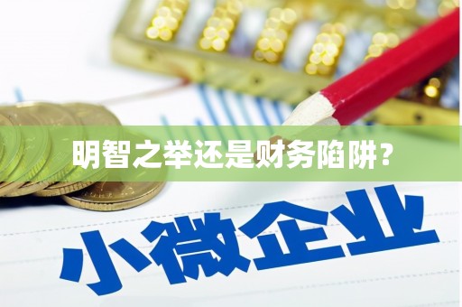 临夏明智之举还是财务陷阱？