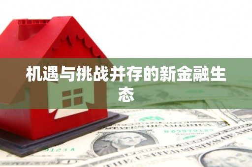 临夏机遇与挑战并存的新金融生态