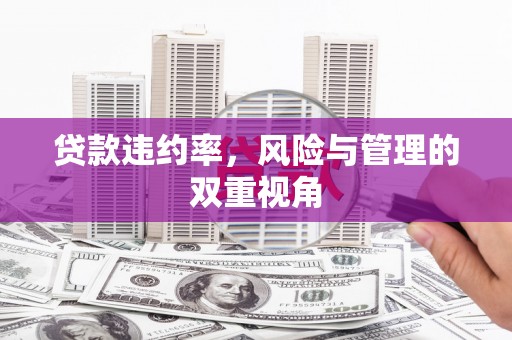临夏贷款违约率，风险与管理的双重视角