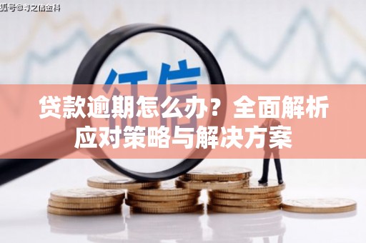临夏贷款逾期怎么办？全面解析应对策略与解决方案