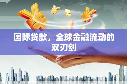 临夏国际贷款，全球金融流动的双刃剑
