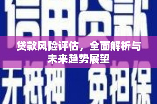 临夏贷款风险评估，全面解析与未来趋势展望