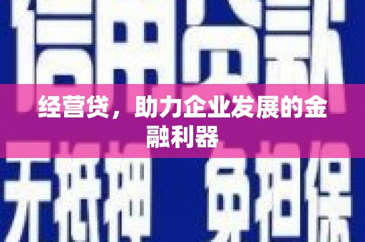 临夏经营贷，助力企业发展的金融利器