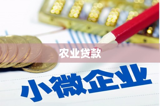 临夏农业贷款