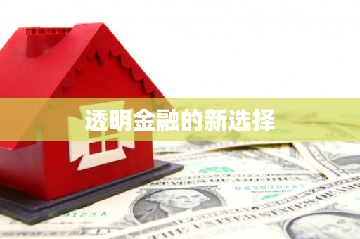 临夏透明金融的新选择