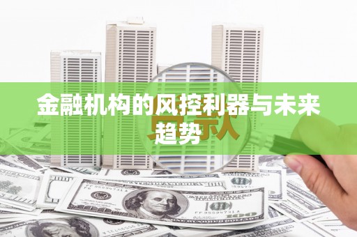 临夏金融机构的风控利器与未来趋势