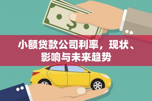 临夏小额贷款公司利率，现状、影响与未来趋势