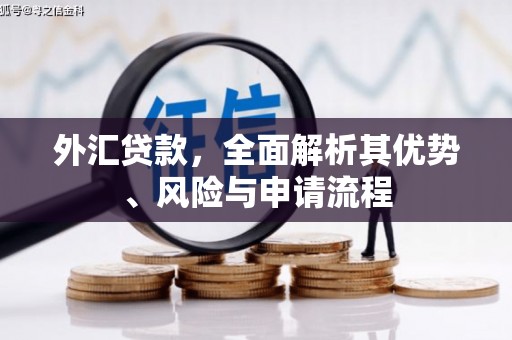 临夏外汇贷款，全面解析其优势、风险与申请流程