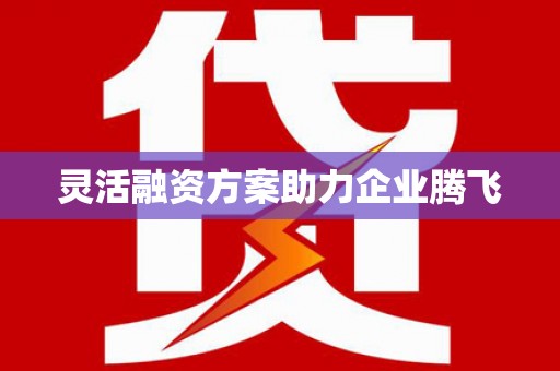 临夏灵活融资方案助力企业腾飞
