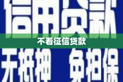 临夏不看征信贷款