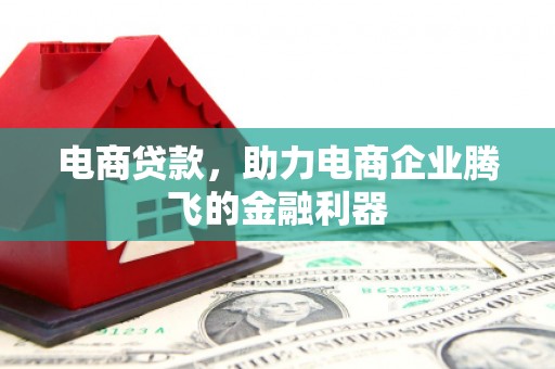 临夏电商贷款，助力电商企业腾飞的金融利器