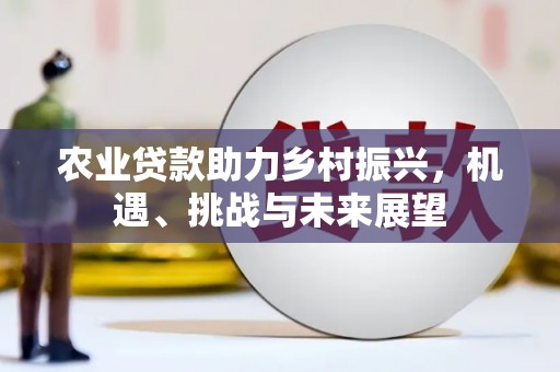 临夏农业贷款助力乡村振兴，机遇、挑战与未来展望