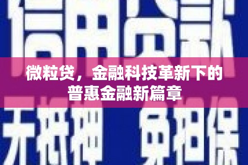 临夏微粒贷，金融科技革新下的普惠金融新篇章