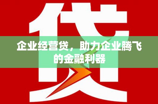 临夏企业经营贷，助力企业腾飞的金融利器