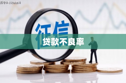 临夏贷款不良率