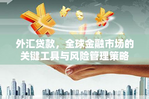 临夏外汇贷款，全球金融市场的关键工具与风险管理策略