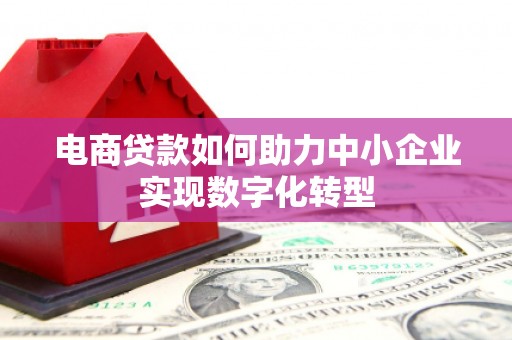 临夏电商贷款如何助力中小企业实现数字化转型
