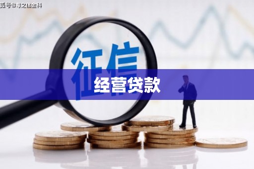 临夏经营贷款