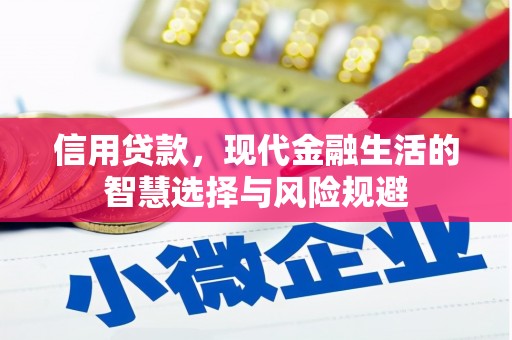 临夏信用贷款，现代金融生活的智慧选择与风险规避