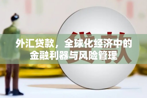 临夏外汇贷款，全球化经济中的金融利器与风险管理