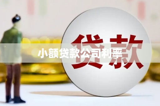 临夏小额贷款公司利率