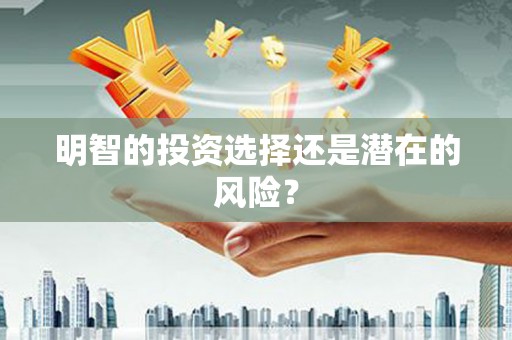 临夏明智的投资选择还是潜在的风险？