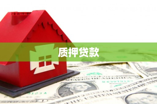 临夏质押贷款