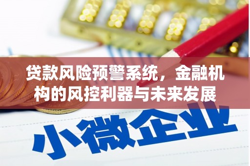 临夏贷款风险预警系统，金融机构的风控利器与未来发展