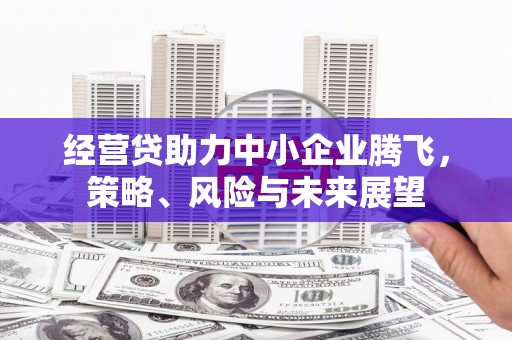 临夏经营贷助力中小企业腾飞，策略、风险与未来展望