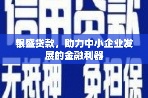 临夏银盛贷款，助力中小企业发展的金融利器
