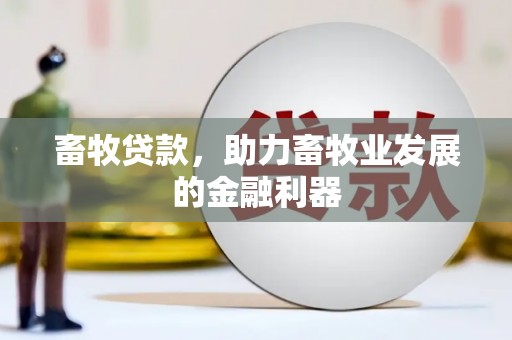 临夏畜牧贷款，助力畜牧业发展的金融利器
