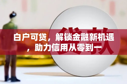 临夏白户可贷，解锁金融新机遇，助力信用从零到一