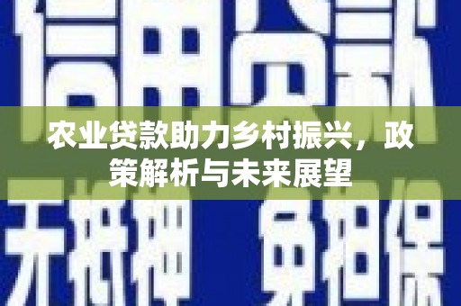 临夏农业贷款助力乡村振兴，政策解析与未来展望