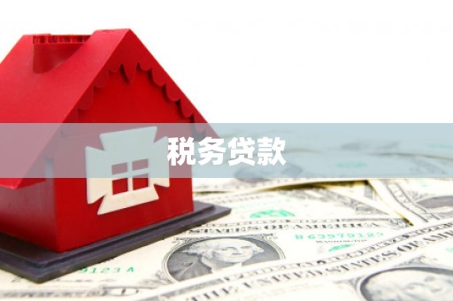 临夏税务贷款