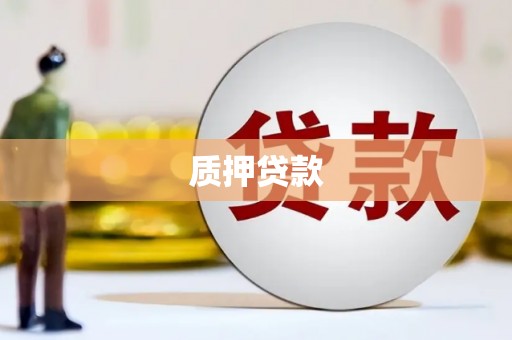 临夏质押贷款