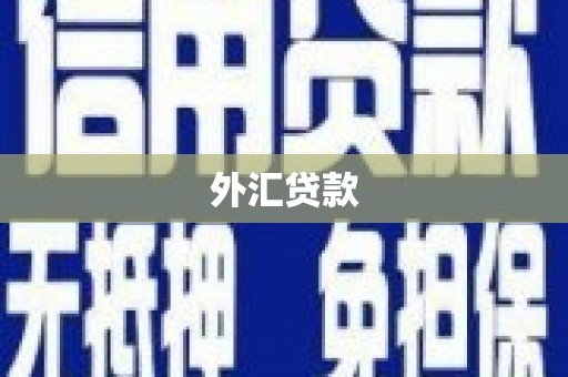 临夏外汇贷款