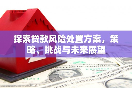 临夏探索贷款风险处置方案，策略、挑战与未来展望