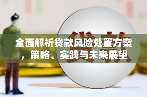 临夏全面解析贷款风险处置方案，策略、实践与未来展望