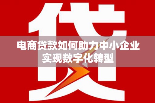 临夏电商贷款如何助力中小企业实现数字化转型
