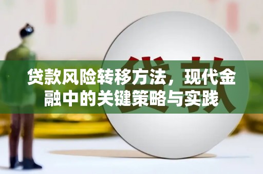 临夏贷款风险转移方法，现代金融中的关键策略与实践