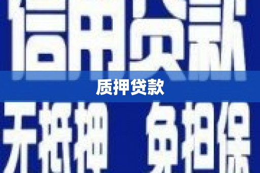 临夏质押贷款