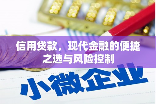 临夏信用贷款，现代金融的便捷之选与风险控制