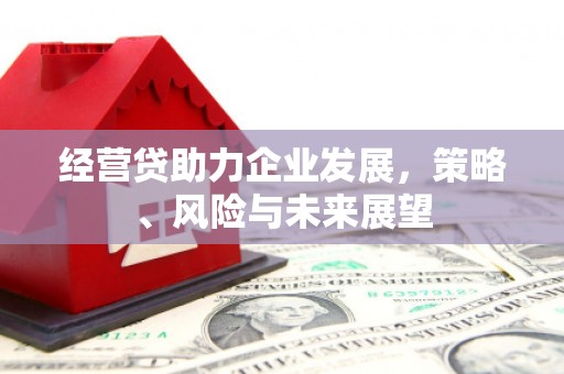 临夏经营贷助力企业发展，策略、风险与未来展望