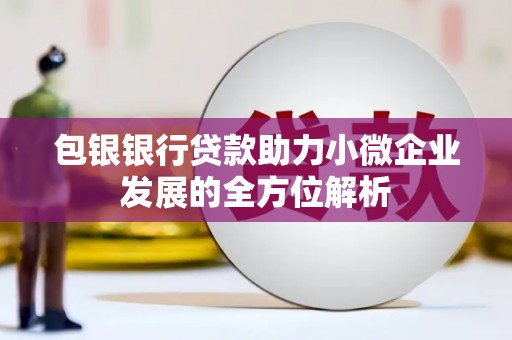 临夏包银银行贷款助力小微企业发展的全方位解析