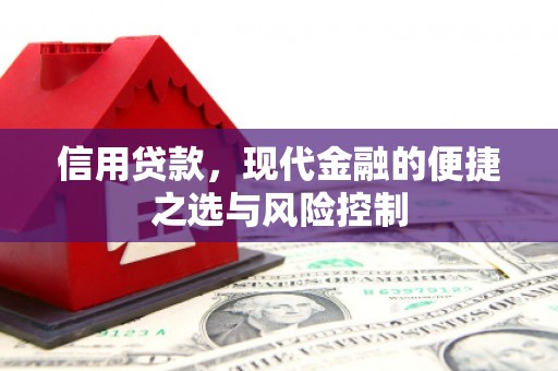 临夏信用贷款，现代金融的便捷之选与风险控制