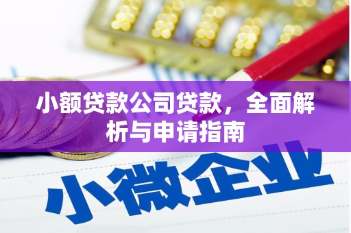 临夏小额贷款公司贷款，全面解析与申请指南
