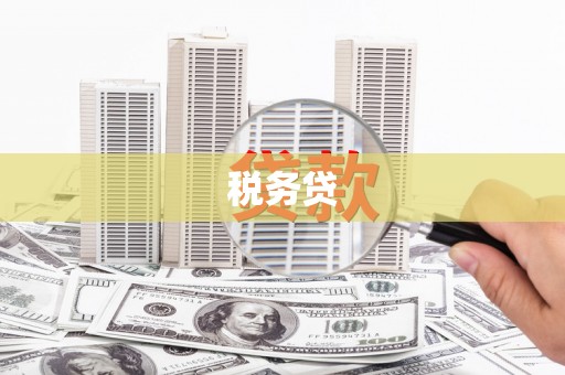 临夏税务贷
